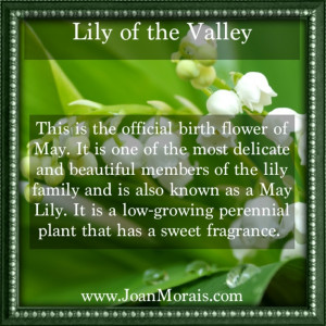May birth flower is Lily of the ValleyMay Birthstone, Gardens Patios ...