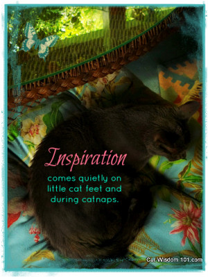 gris gris-cat-quote-inspiration