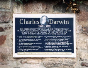 ... figure 3 attached to the stone wall in commemoration of charles darwin