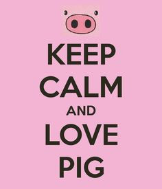 keep calm and love pigs More
