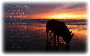 The Art of Racing in the Rain quote