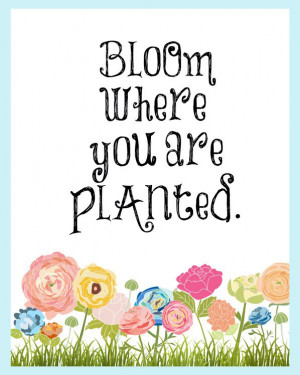 Bloom Where you are Planted 8×10 wall art inspirational flowers quote ...