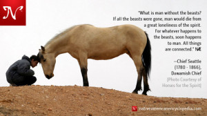 The native roots run deep. Photo Horses for the spirit. > Link to ...
