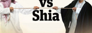 Why hate Shia Sunni?