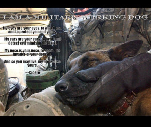 Military Working Dog ... my heroes don't get paid millions of dollars ...