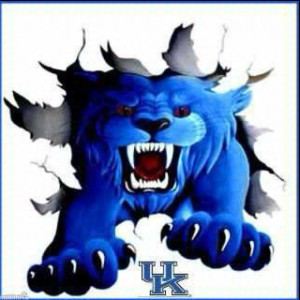 UK wildcats