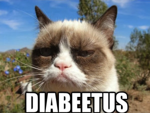 ... Wilford Brimley stars in this newly invented GrumpyCat w/ DIABEETUS
