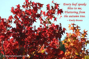 Autumn Quotes Famous Poems Sayings About Fall Pic #13