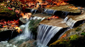 Small autumn waterfall scene with fallen oak leaves, Bay Village, Ohio ...