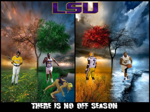 Related Pictures lsu screensaver