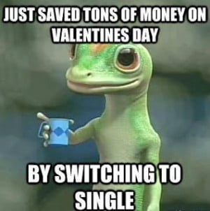 Single on Valentines Day funny facebook quote
