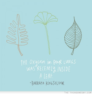 The oxygen in our lungs was recently inside a leaf