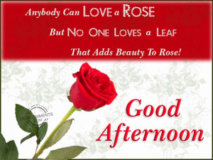 Good Afternoon Quotes Sms