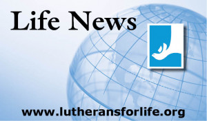 News is a monthly bulletin insert with life issue news, great quotes ...