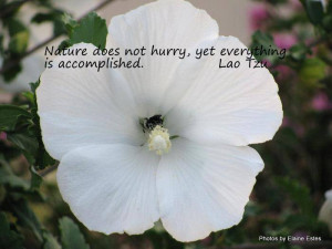 Have something to add to this story? Share it in the comments.