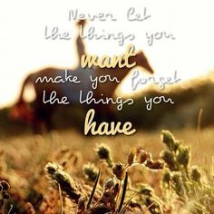 Never let the things you want make you forget the things you have.