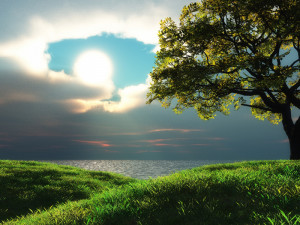 God-The creator Beautiful GOD's creation