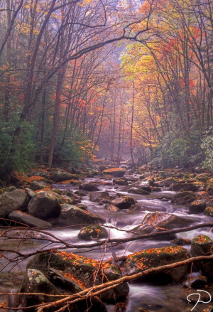Park.Great Smoky Mountains, Favorite Places, Nature, Autumn, Mountain ...