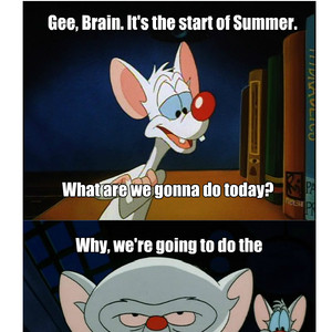 Summer Night Adventures With Pinky And The Brain