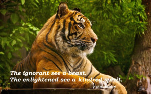 ... Ignorant See A Beast The Enlightened See A Kindred Spirit Nature Quote
