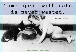 the 30 most famous cat quotes the 100 most famous quotable quotes of ...