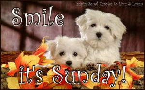Smile Its Sunday Motivational Love Quotes | Favorite Quotes