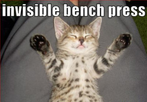 _kitten_invisible_bench_press_funny_humor_weightlifting_animal_silly ...