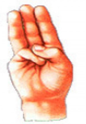 Found on scoutlander.com