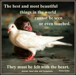 most beautiful love quotes for her