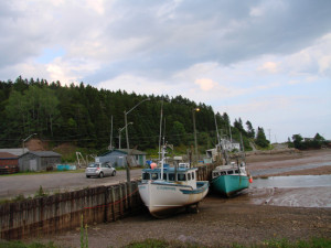 canada bay of fundy tides the highest tides in the world family