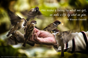 Winston Churchill Quote Feed the Birds by Diego Cambiaso on flickr ...