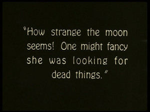 dead, quote, strange, the moon, typography