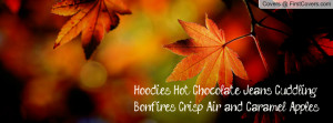 Hoodies, Hot Chocolate, Jeans, Cuddling, Bonfires, Crisp Air, and ...