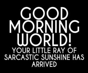 Good Morning World! Your little ray of sarcastic sunshine has arrived