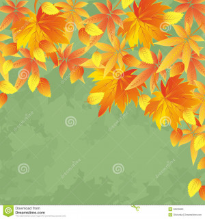 vintage-autumn-background-leaf-fall-yellow-red-leaves-nature-place ...