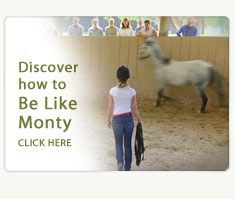 Monty Roberts Join Up, Man Who Listens to Horses, Real Horse Whisperer ...