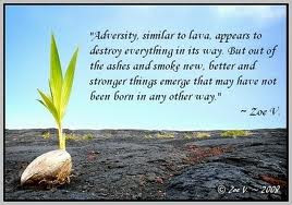 adversity quotes overcoming adversity quotes quotes about adversity ...