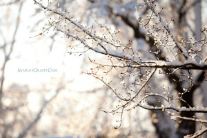 Love Snow Quotes Why i love snow so much.