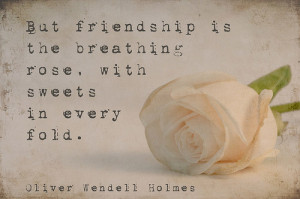 Top 10 Best Heart Touching Friendship Quotes