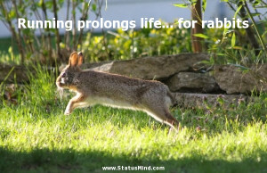 Running prolongs life... for rabbits - Funny Quotes - StatusMind.com