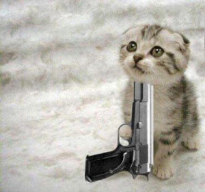 Funny Cats With Guns Wallpapers