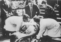 The body of Dr Verwoerd being carried down the steps of the House of ...