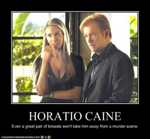 Horatio Caine