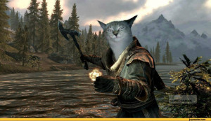 Funny Skyrim Games Cat Cats