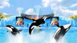 SeaWorld Orlando Manta Roller Coaster