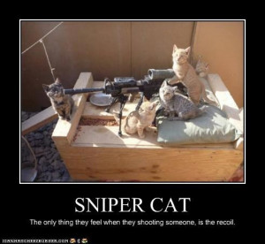 cat sniper