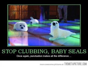 funny baby seals dancing club
