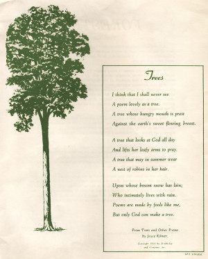 ... Trees In Hindi Ped Par Kavita Kids Poems Plants Save Tree on Pinterest