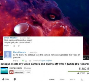 Someone has posted a video from where an octopus took the camera while ...