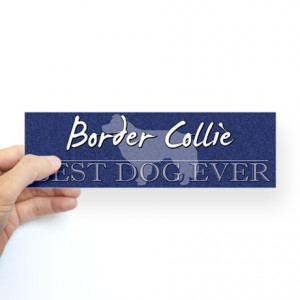 Funny Border Collie Bumper Stickers | Car Stickers, Decals, & More